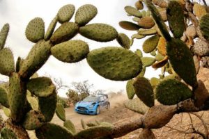 Rally Mexico is next stop on the 2017 WRC calendar